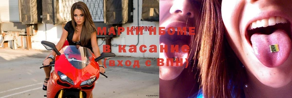 шишки Кукмор