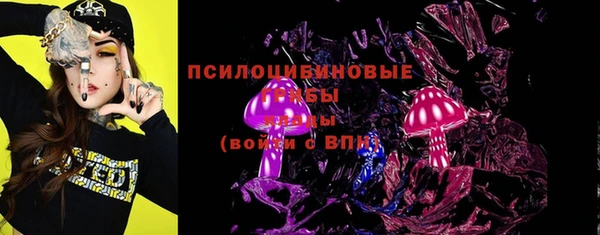 шишки Кукмор