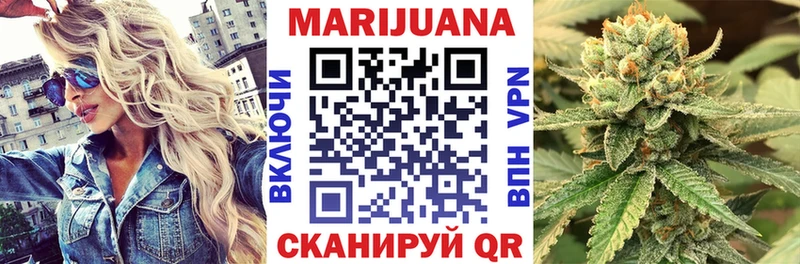 Купить закладки  Чадан  Конопля SATIVA & INDICA 